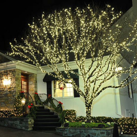 Best Outdoor Tree Decoration Ideas for a Magical Christmas Glow