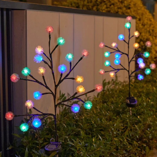 Beyond the Four Walls: Why Outdoor Celebrations Are the New Favourite