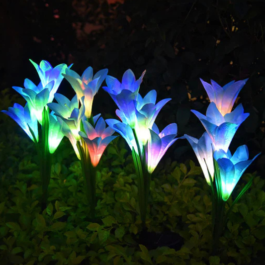 Why Everyone Is Switching to Solar Lights: Things to Know