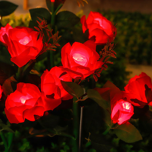 solar red rose light